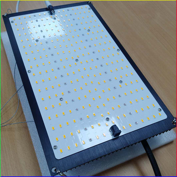 2021 New type weedqb LED grow light 150W with APP dimmer fast delivery