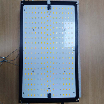 2021 New type weedqb LED grow light 150W with APP dimmer fast delivery