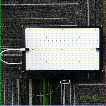 2021 New type weedqb LED grow light 150W with APP dimmer fast delivery