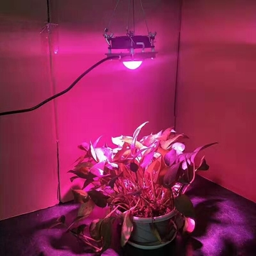 60W 4000K COB LED grow light W001