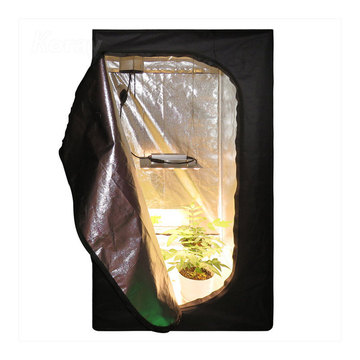 Economical medicinal plant lamp W010