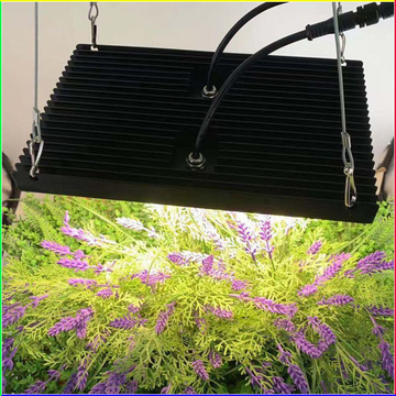 120W WEEDQB full spectrum plant growth light IP65 LED